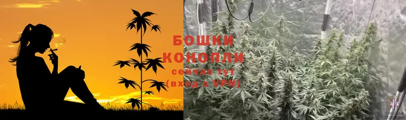 Конопля LSD WEED  Дудинка 